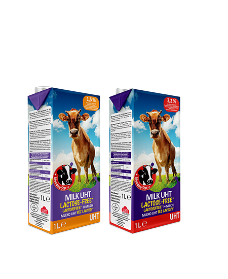 UHT MEADOW STAR milk 3,2%